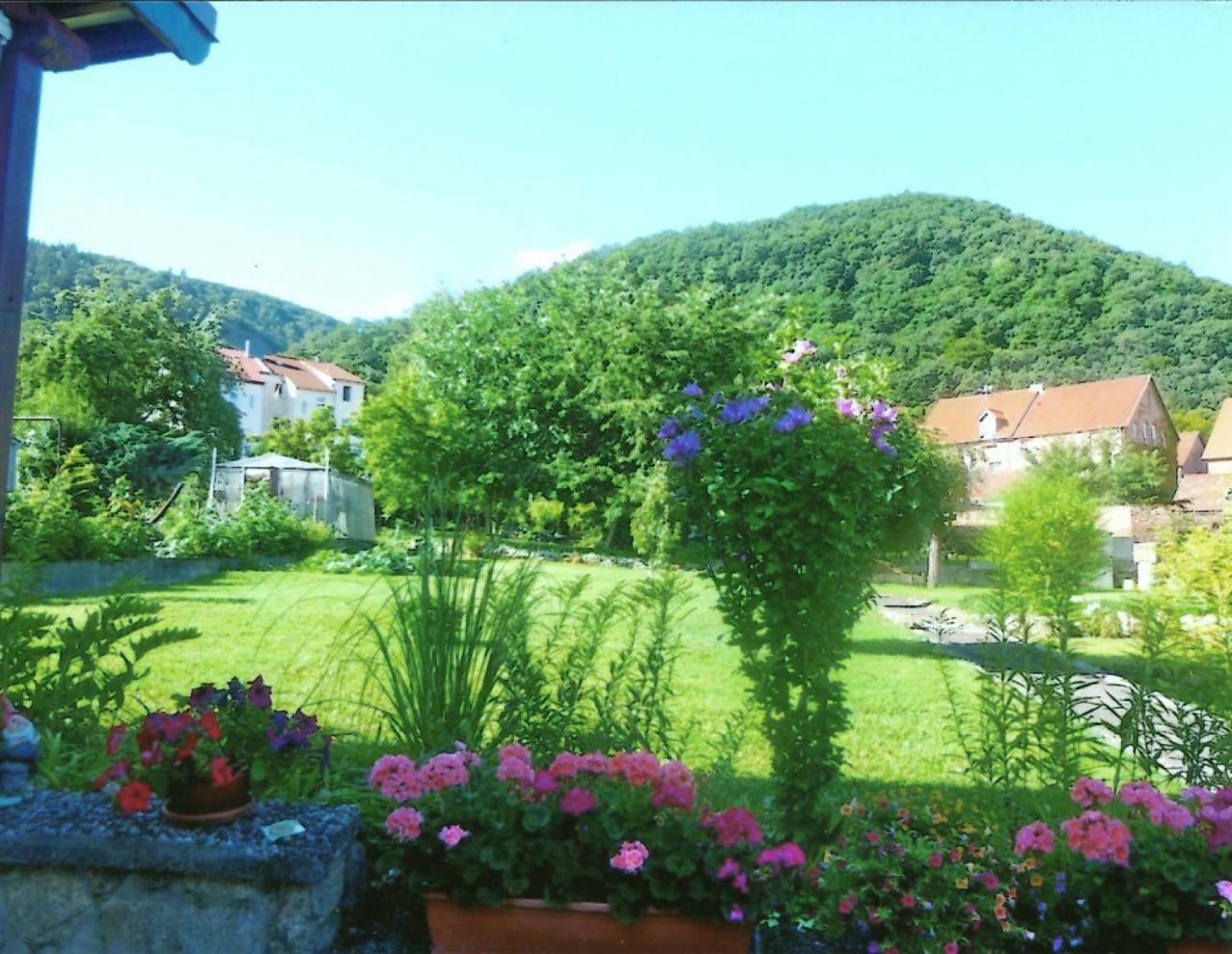 Ferienwohnung Bergblick - Inklusive Bodetal Therme Thale Bagian luar foto